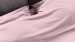AM:CLUB™ Performance Flat Sheet - Delta Pink
