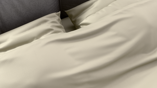 AM:CLUB™ Performance Flat Sheet - Recovery Sage
