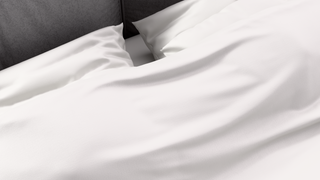 AM:CLUB™ Performance Flat Sheet - Power White